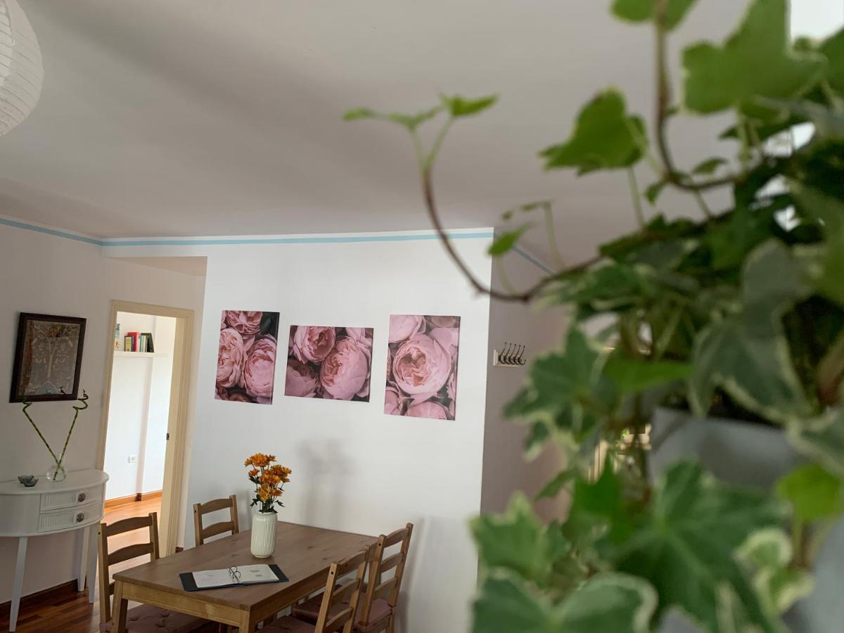 La Casita De Mi Alma - Das Haus Meiner Seele Tegueste Dış mekan fotoğraf